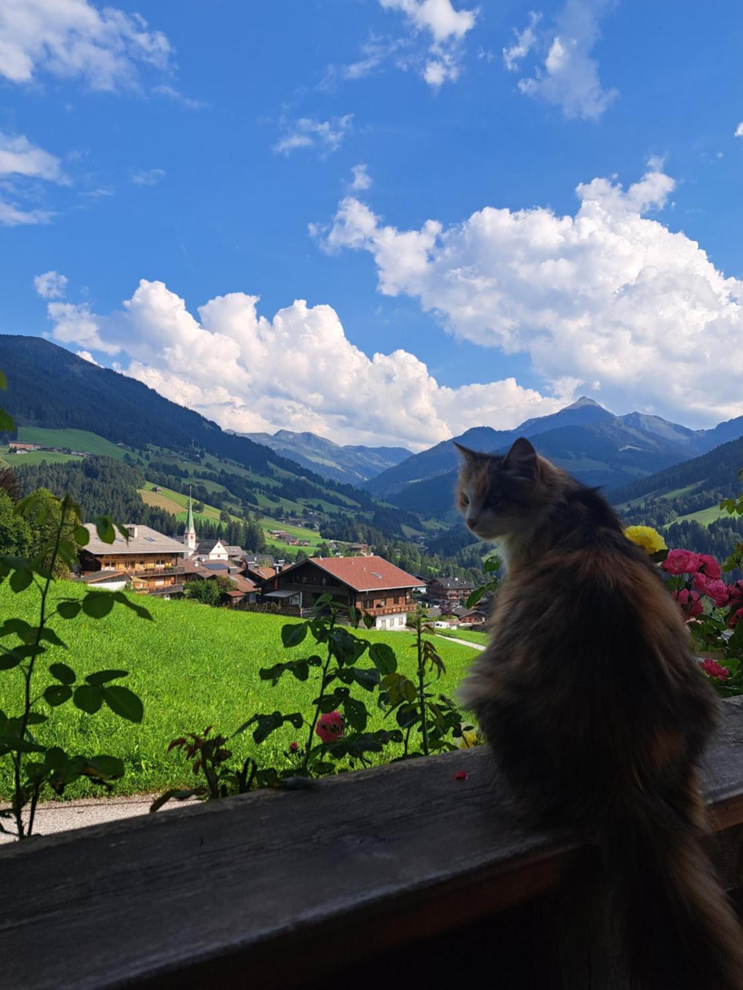 Heachhof Διαμέρισμα Alpbach Εξωτερικό φωτογραφία