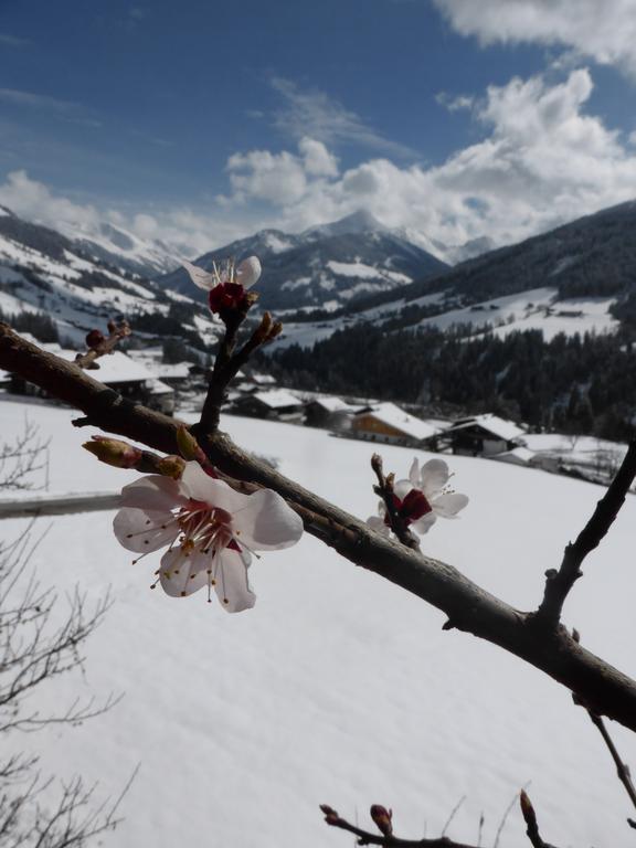 Heachhof Διαμέρισμα Alpbach Εξωτερικό φωτογραφία